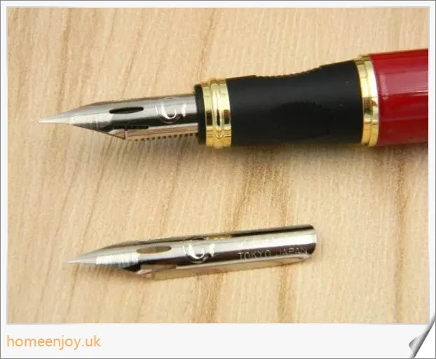 Executive Flexible Nib Fountain Pen with calligraphic strokes and elegant design