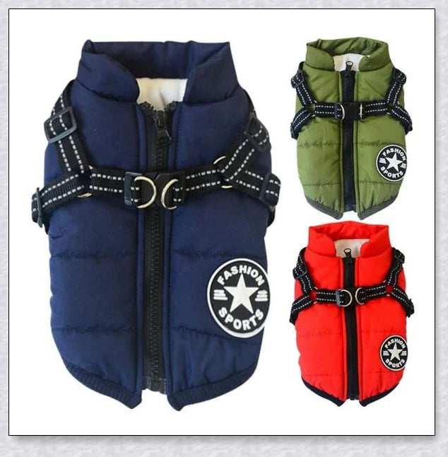 Premium winter dog jacket with waterproof, reflective, and adjustable features for outdoor adventures