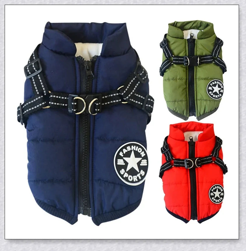 Premium winter dog jacket with waterproof, reflective, and adjustable features for outdoor adventures