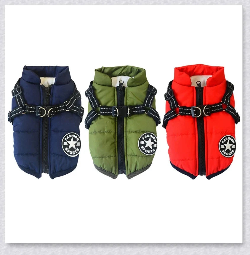 Premium winter dog jacket with waterproof, reflective, and adjustable features for outdoor adventures