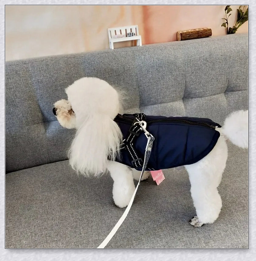 Premium winter dog jacket with waterproof, reflective, and adjustable features for outdoor adventures