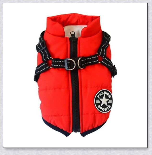 Premium winter dog jacket with waterproof, reflective, and adjustable features for outdoor adventures