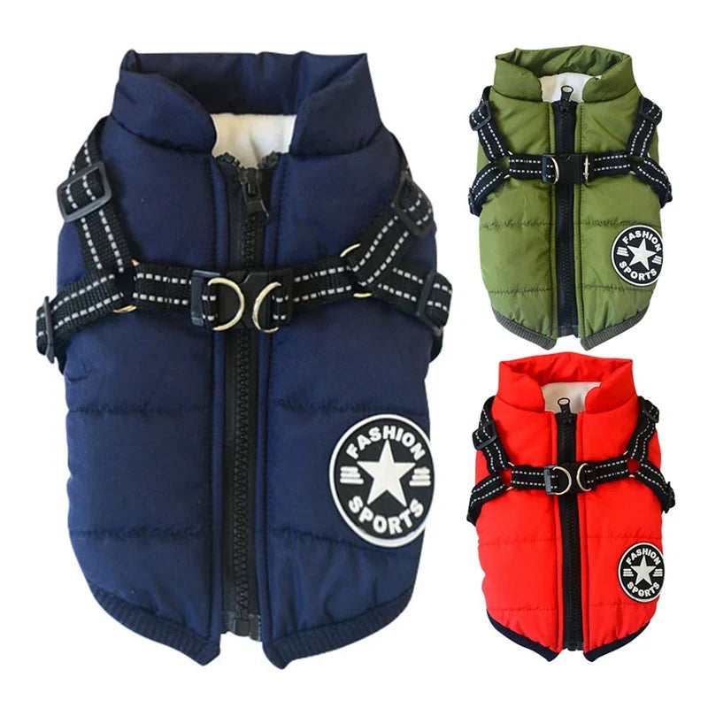 Premium winter dog jacket with waterproof, reflective, and adjustable features for outdoor adventures