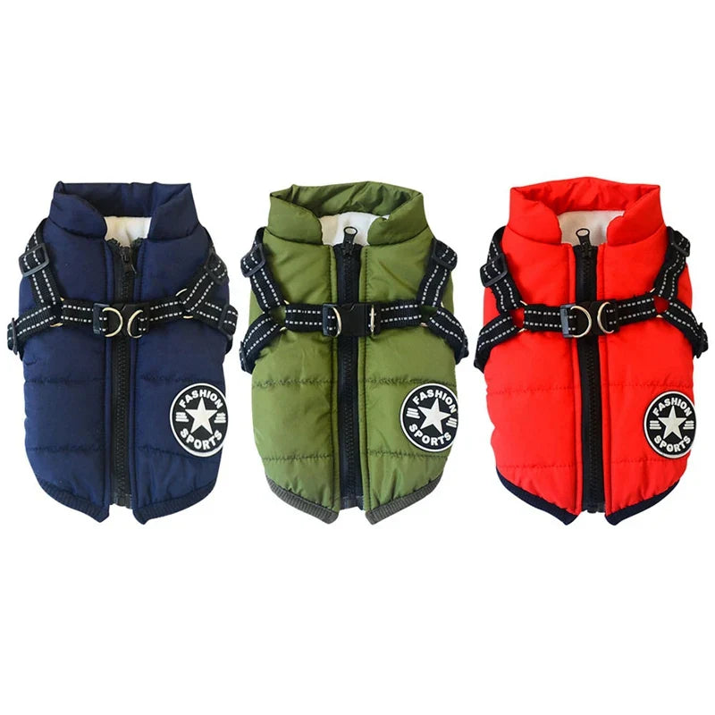 Premium winter dog jacket with waterproof, reflective, and adjustable features for outdoor adventures