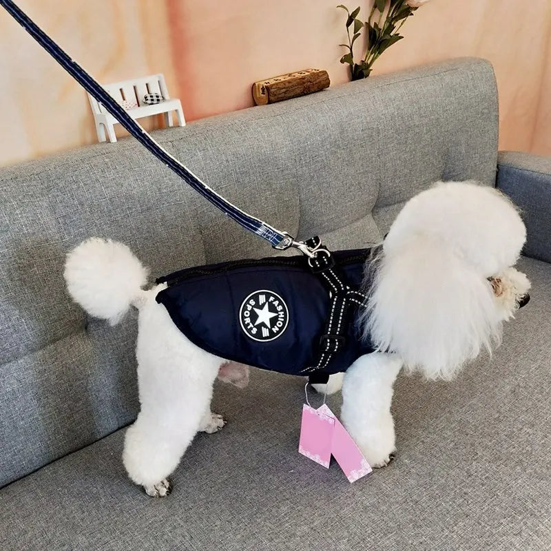 Premium winter dog jacket with waterproof, reflective, and adjustable features for outdoor adventures