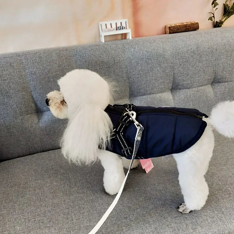 Premium winter dog jacket with waterproof, reflective, and adjustable features for outdoor adventures