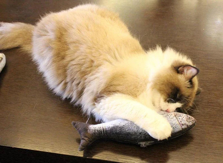 Catnip-filled plush fish toy for cats in various sizes, designed to satisfy scratching and chewing instincts