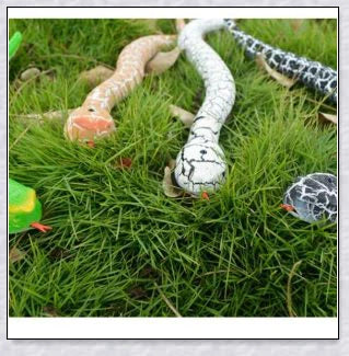 A remote controlled snake toy with a segmented body, flashing lights, and a swinging tail, designed to captivate and entertain cats.