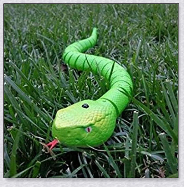 A remote controlled snake toy with a segmented body, flashing lights, and a swinging tail, designed to captivate and entertain cats.