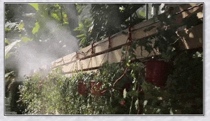 A high-quality outdoor misting system with adjustable nozzles, designed to cool and refresh your backyard or patio.