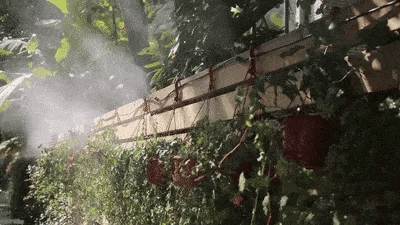 A high-quality outdoor misting system with adjustable nozzles, designed to cool and refresh your backyard or patio.