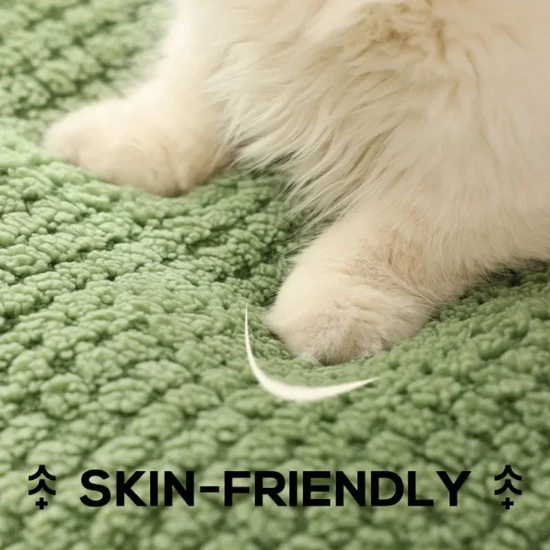 Cosy and whimsical pet bed in frog-inspired design for small cats and dogs