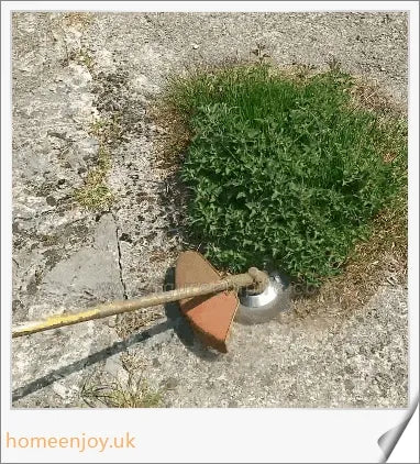 Garden Weed Brush Lawn Mower - A high-quality steel wire tool for tackling weeds, deburring, and polishing in your British garden
