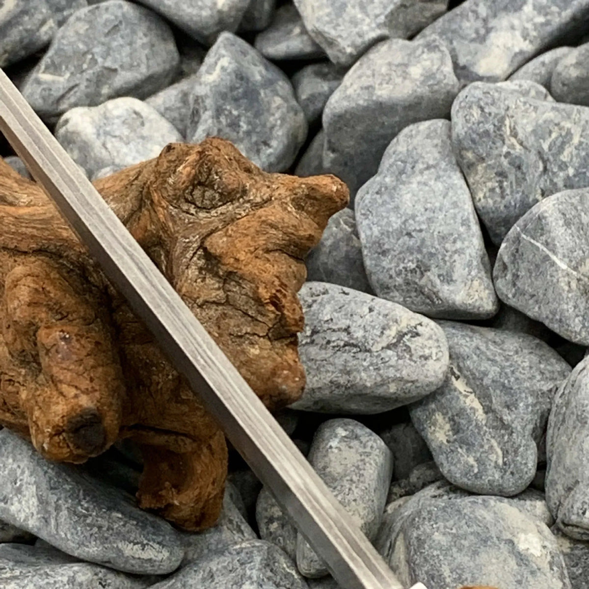 Outdoor Damascus pattern steel short knife with Thuja wood handle measuring 18cm