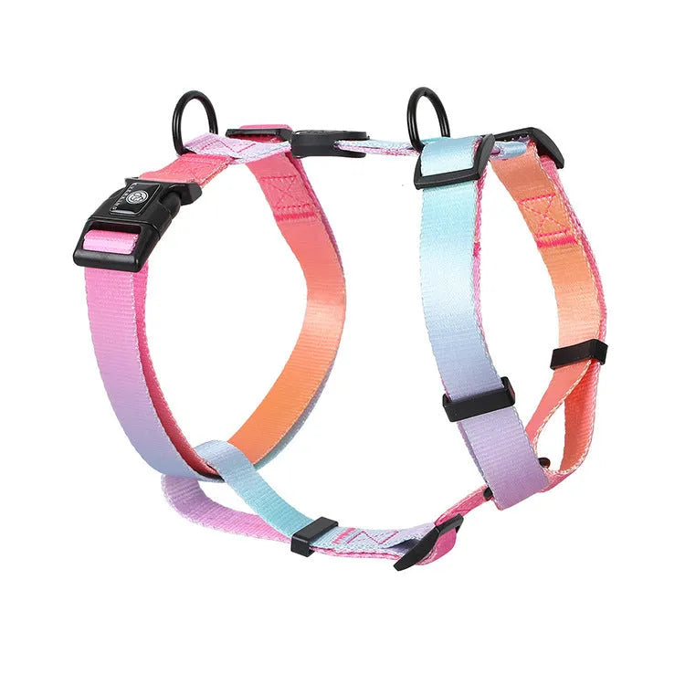 Gradient colour dog harness with chest and back straps in purple, blue, neon or green designs