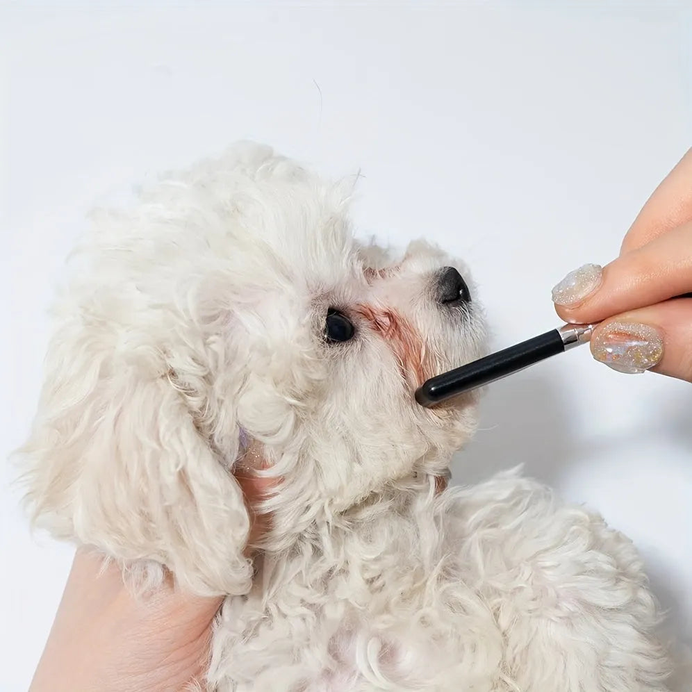 Black dual-head pet grooming brush with soft bristles and a comb for dogs and cats