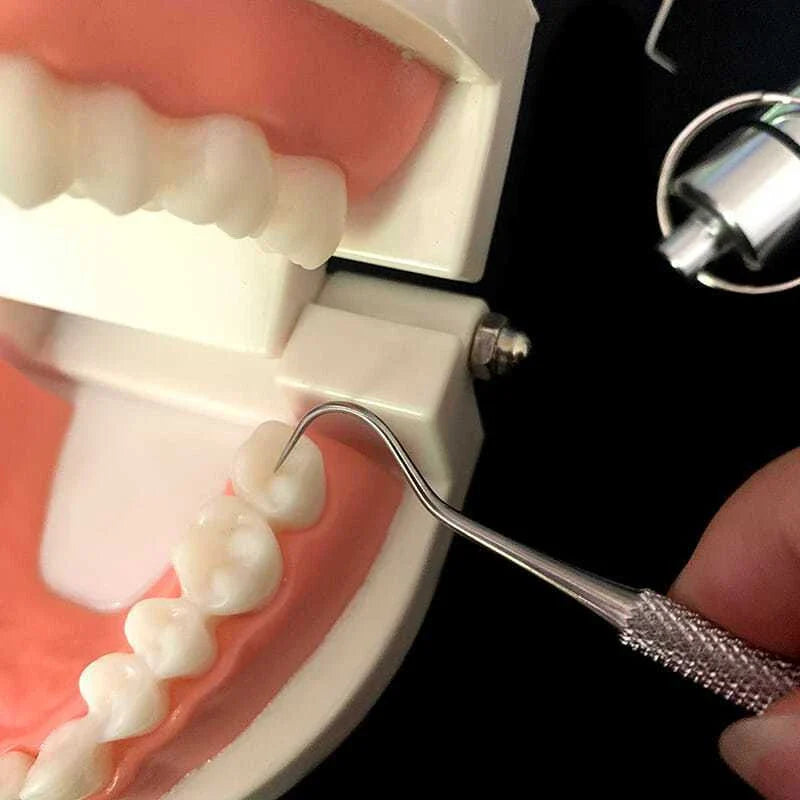 Premium stainless steel toothpick set with dental floss for portable, hassle-free dental care on the go