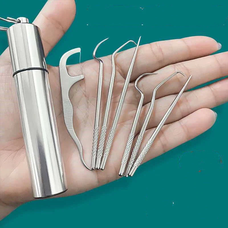 Sturdy Stainless Steel Toothpick Set: Versatile Dental Care on the Go