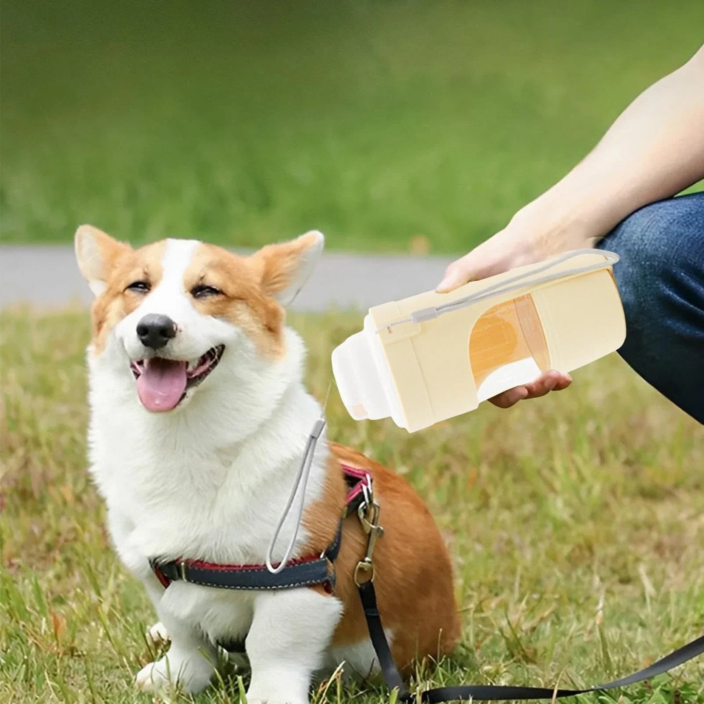 Portable 2-in-1 travel dog water bottle and feeder with lanyard, suitable for outdoor activities with pets