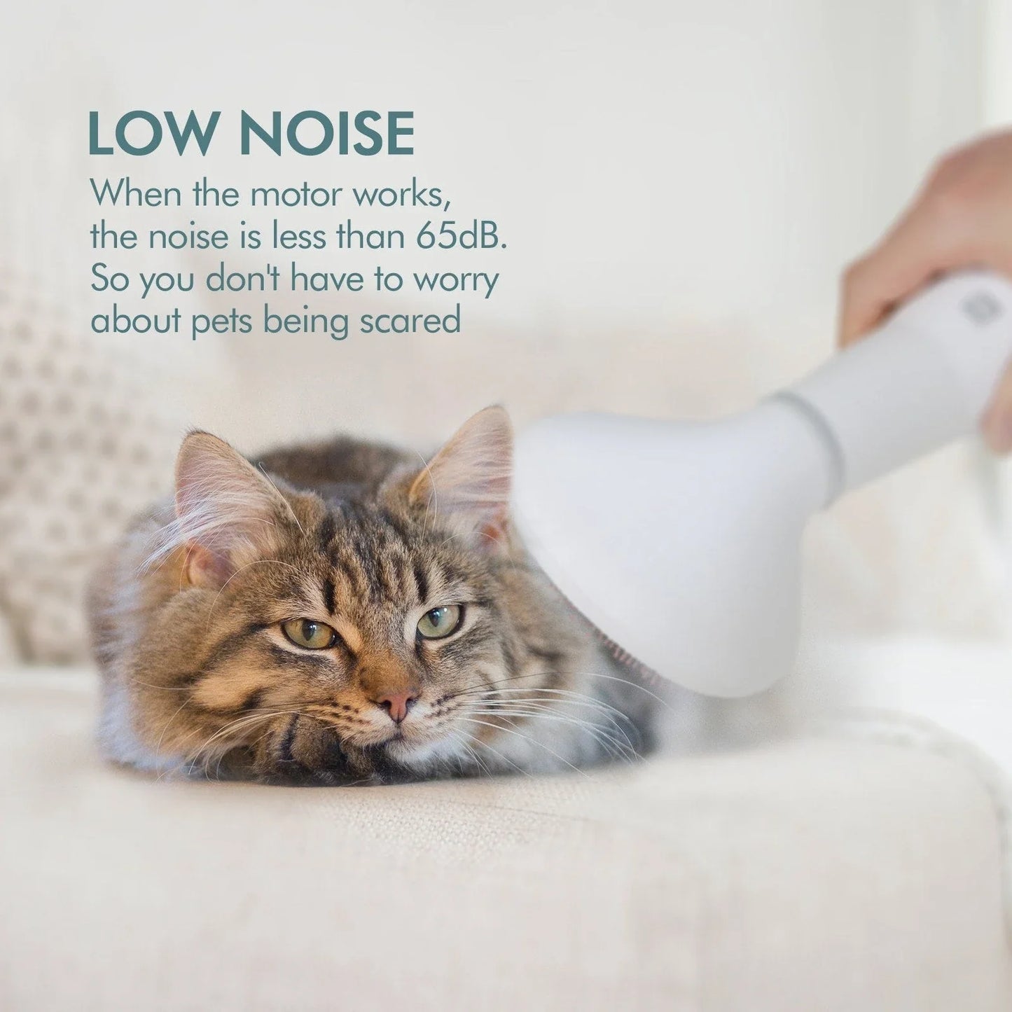 Premium Grooming System: Quiet Dog Hair Dryer with Slicker Brush for Efficient and Comfortable Pet Grooming