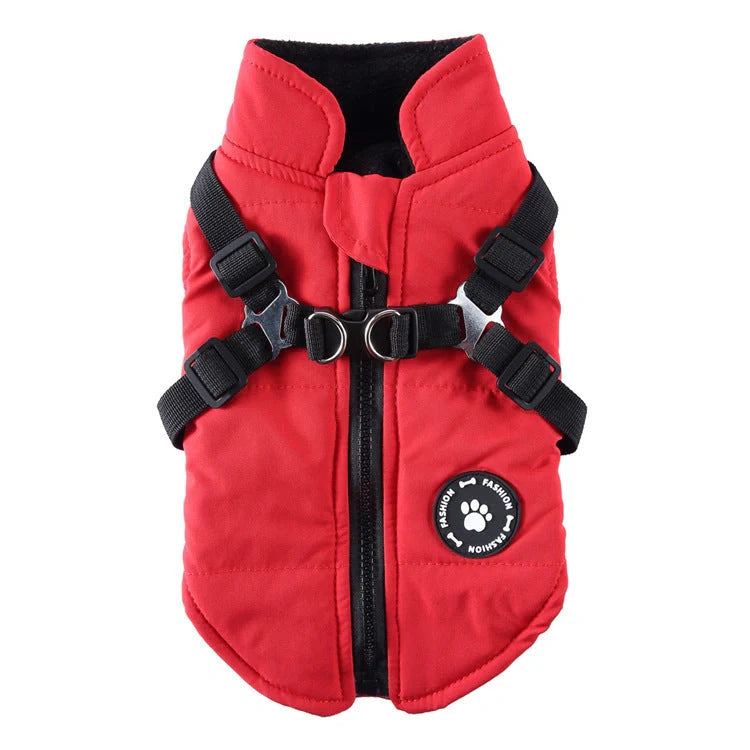 Comfy cotton-padded jacket with adjustable chest strap, available in black, blue, green, and red colours, suitable for pets