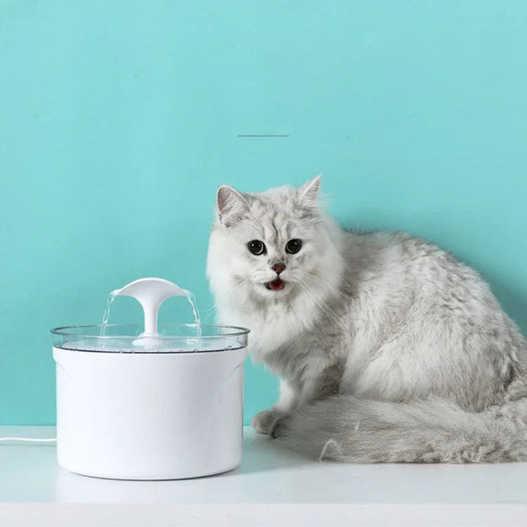 Homeenjoy Automated Pet Water Fountain with LED Display - Keeps Dogs and Cats Hydrated