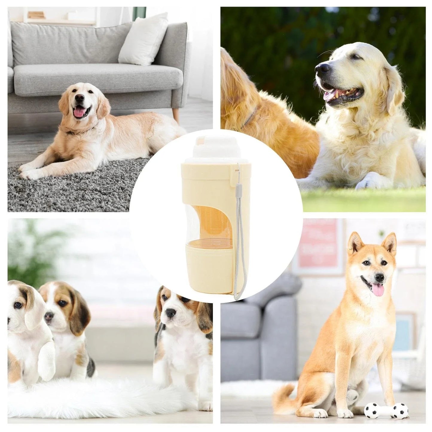Portable 2-in-1 travel dog water bottle and feeder with lanyard, suitable for outdoor activities with pets