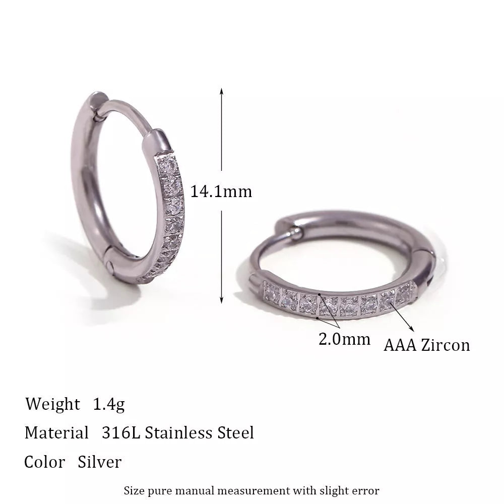 Women's titanium steel zircon earrings with electroplating, available in gold and steel finishes