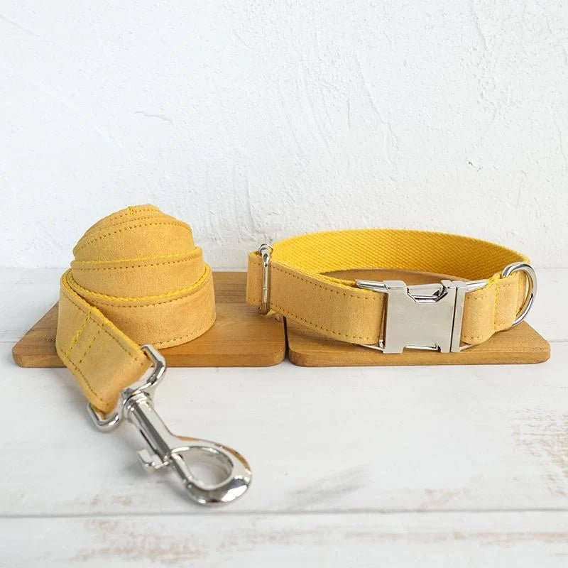Nala durable polyester dog collar and leash set in vibrant colours