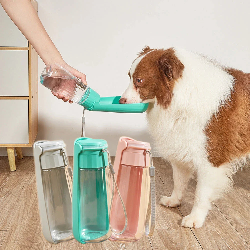 Portable folding dog water bottle with large 550ml capacity, available in multiple vibrant colors