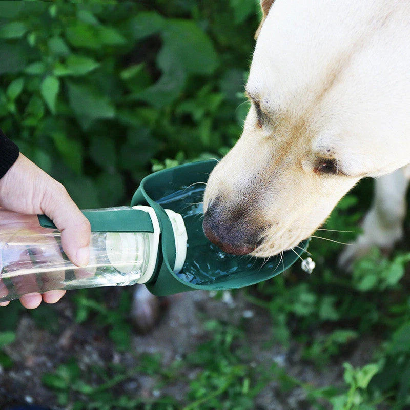 Multifunction pet water bottle with collapsible feeding bowl in green, grey, and blue colors for hydrating and feeding pets during travel and outdoor activities