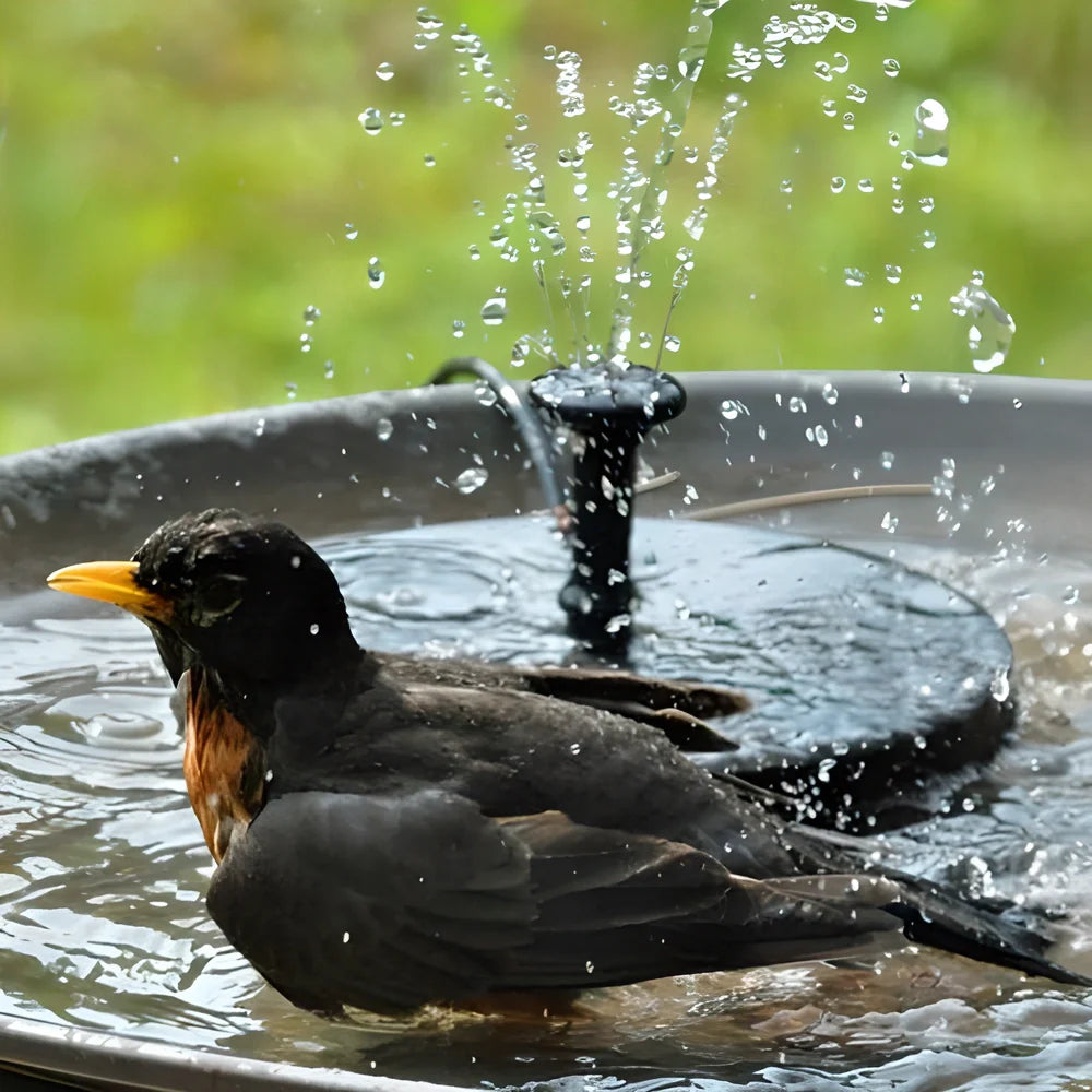 Solar-powered bird fountain with customizable water patterns for your garden or outdoor space