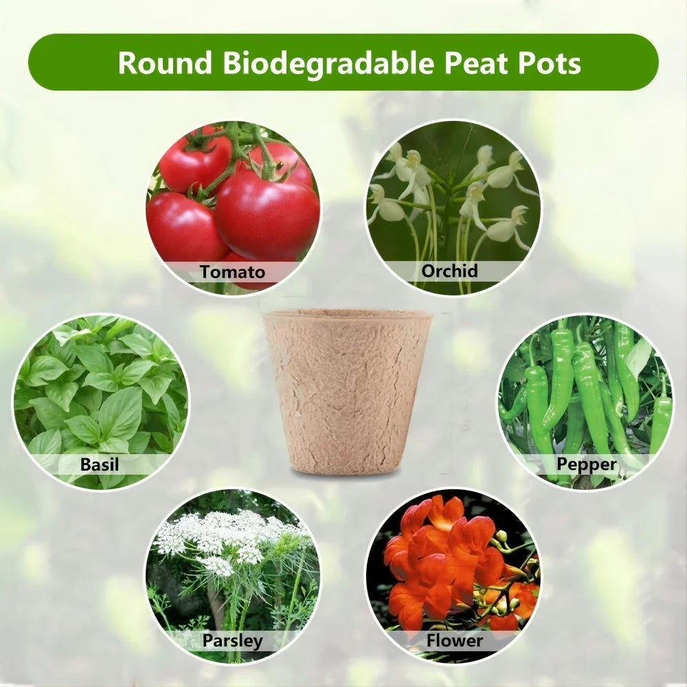 Biodegradable paper nursery pots and plant labels set for sustainable gardening