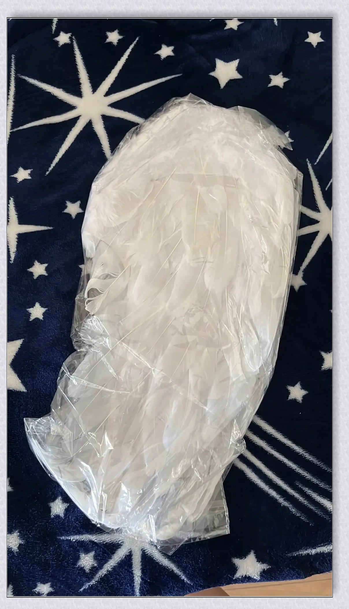 Captivating 3D Angel & Devil Wings in angelic white and devilish black colours, perfect for Halloween, masquerade, and costume parties
