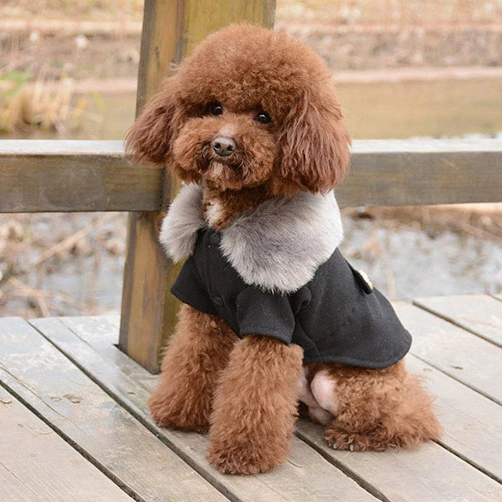 Cosy Woollen Dog Jacket for British Pups - Premium Wool Construction, Tailored Fit, and Sophisticated Style