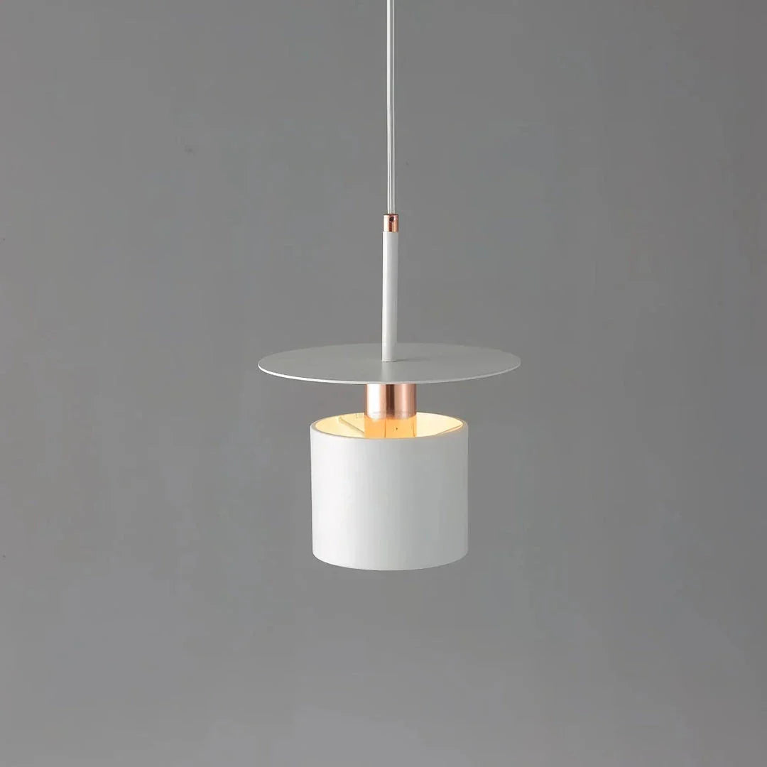 A modern and elegant minimalist pendant light made of durable metal with a smooth painted finish, providing focused and cosy illumination for a variety of interior spaces.