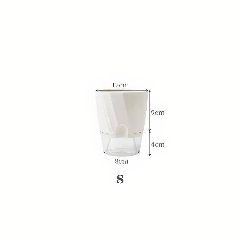 Elegant transparent self-watering planter with flowering plant and water level visible