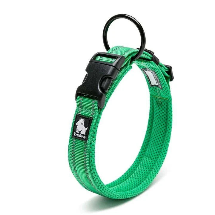 Adjustable nylon dog collar with reflective stripes, available in various vibrant colours for UK pet owners