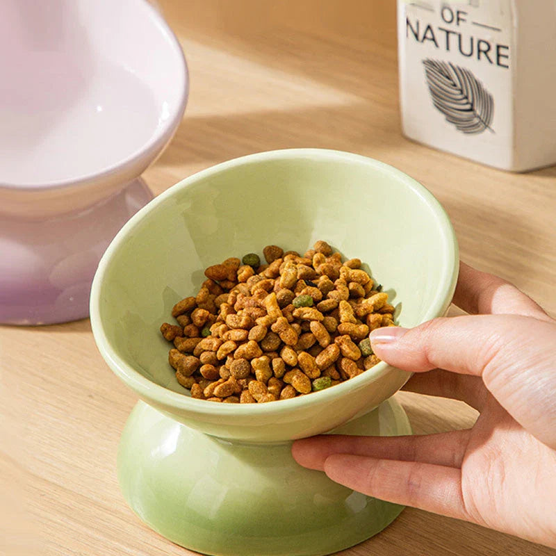 Gradient Ceramic Cat Bowl with raised and tilted design for comfortable pet dining