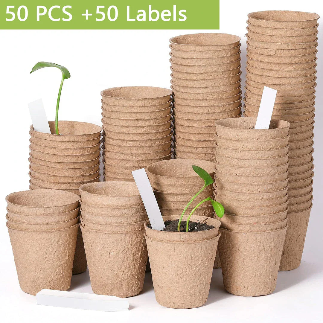 Biodegradable paper nursery pots and plant labels set for sustainable gardening