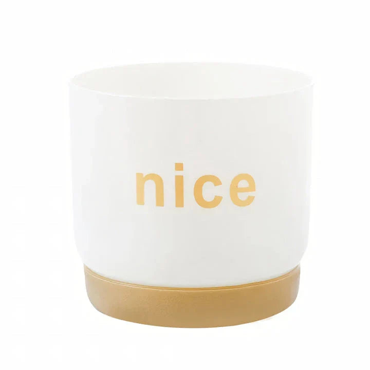 Elegant self-watering planters in various sizes, perfect for indoor plants and home or office decor