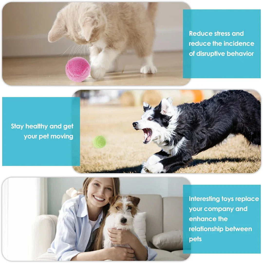 Vibrant, multi-coloured electric pet balls that automatically roll to stimulate pets' natural hunting instincts and help clean floors