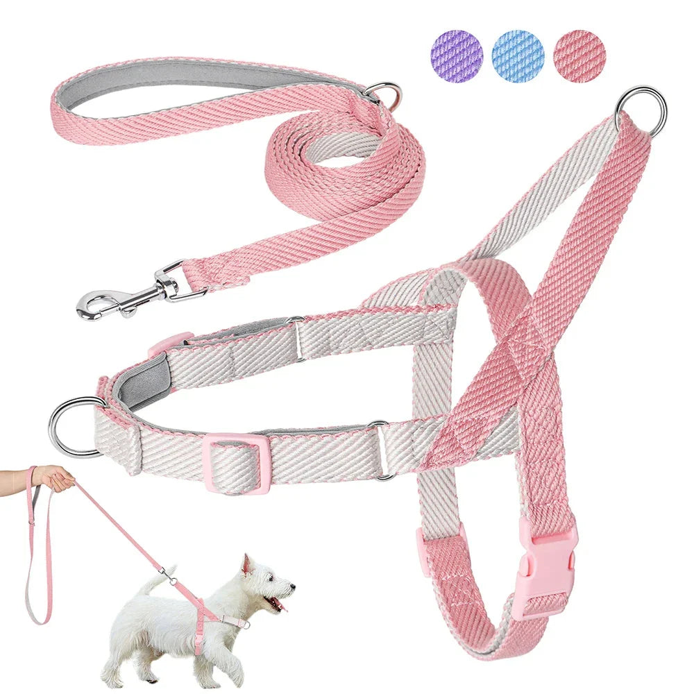 Adjustable no-pull dog harness and leash set made of durable, lightweight nylon in various colours for small, medium, and large breeds