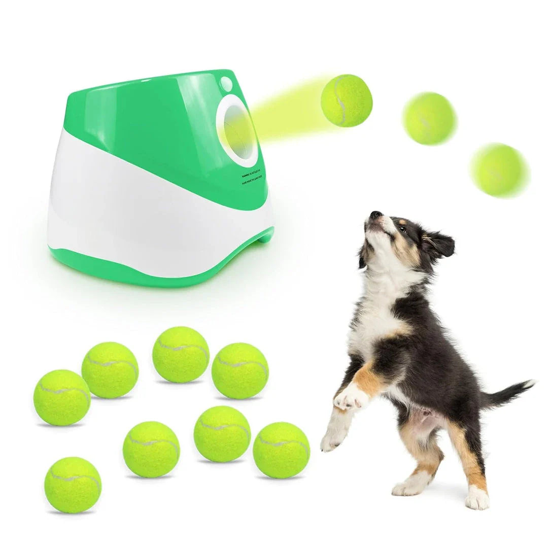 Compact Automatic Dog Tennis Ball Launcher in Turquoise Colour, Ideal for Interactive Fetch Games with Dogs