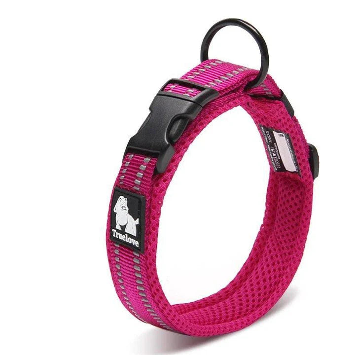 Adjustable nylon dog collar with reflective stripes, available in various vibrant colours for UK pet owners