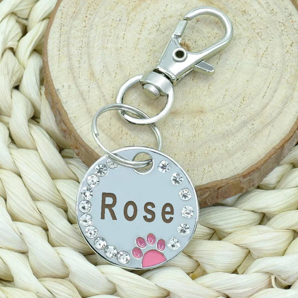 Customisable stainless steel pet ID tags in various colours, designed for identifying and protecting your beloved companion