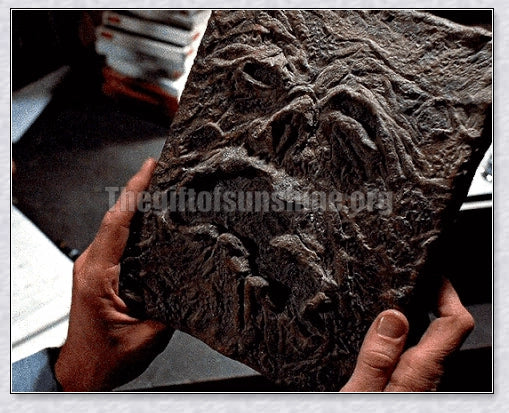A haunting Necronomicon book with an embossed monster cover, aged pages, and a leathery, deathly texture
