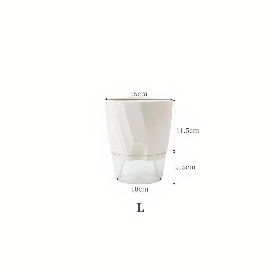 Elegant transparent self-watering planter with flowering plant and water level visible