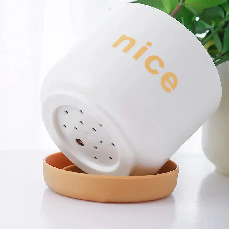 Elegant self-watering planters in various sizes, perfect for indoor plants and home or office decor