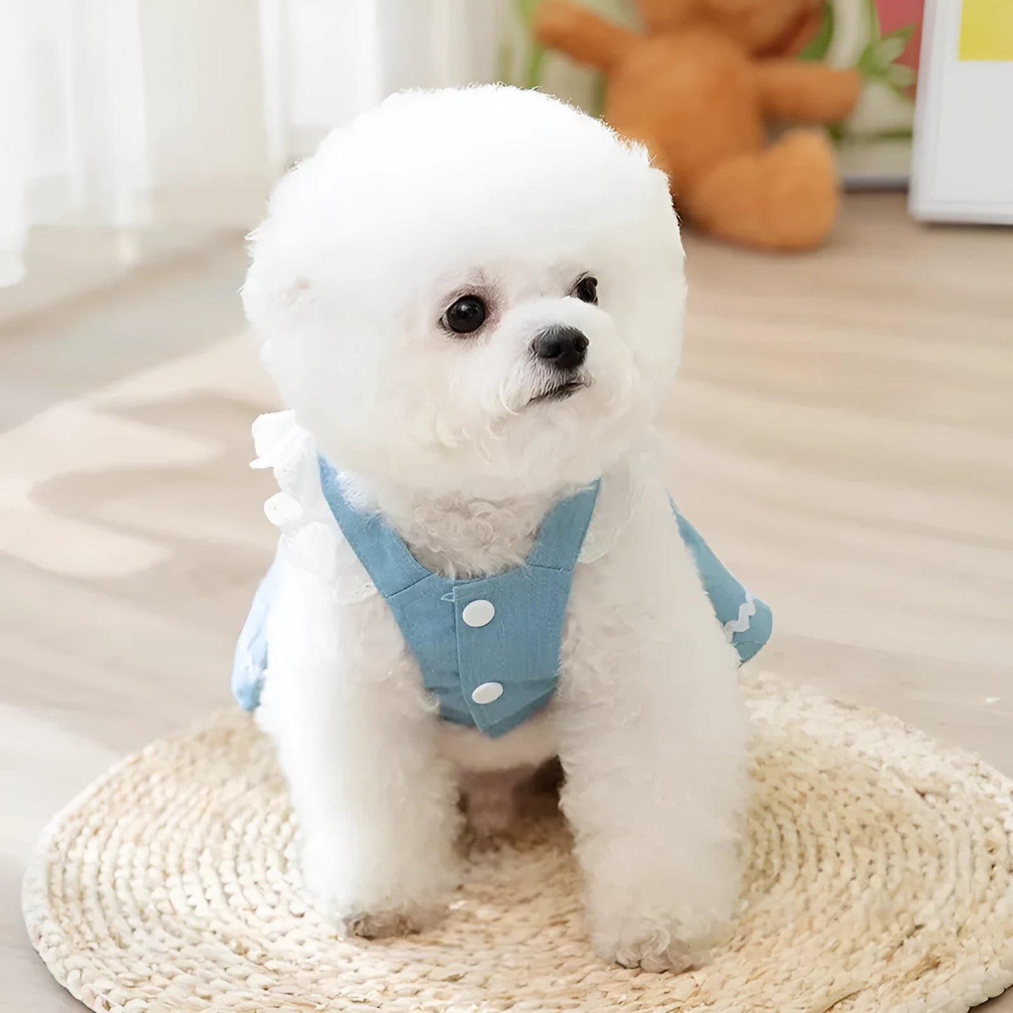 Strawberry print denim-style dog skirt in Bondi Blue colour on a small dog
